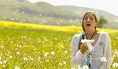 Allergie saisoniere
